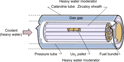 Fuel bundle in a fuel channel.