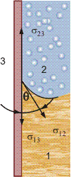 Solid surface in contact with gas and liquid gases.
