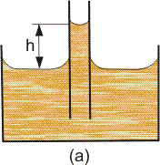 Level rise and depression due to capillary action.