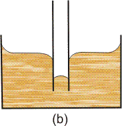 Level rise and depression due to capillary action.