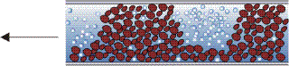 Plug flow in gas-solid and liquid-solid flows.