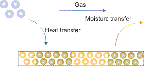 Convective drying process.