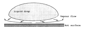 Leidenfrost drop.
