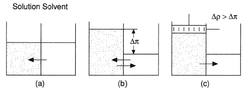 Osmosis and reverse osmosis, (a) osmotic flow, (b) osmotic equilibrium and (c) reverse osmosis.