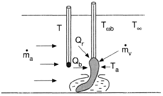 Dry/wet bulb thermometer.