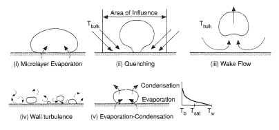 Mechanisms of heat transfer in nucleate boiling.
