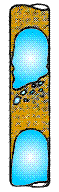 Flow patterns in vertical flow.