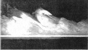 Visualization of a boundary layer flow from right to left. From Fernholz in Bradshaw P (Ed.) (1976); Turbulence. Topics in Applied Physics, 12, by permission of Springer Verlag GMBH and Co. KG.