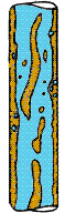 Flow patterns in vertical flow.