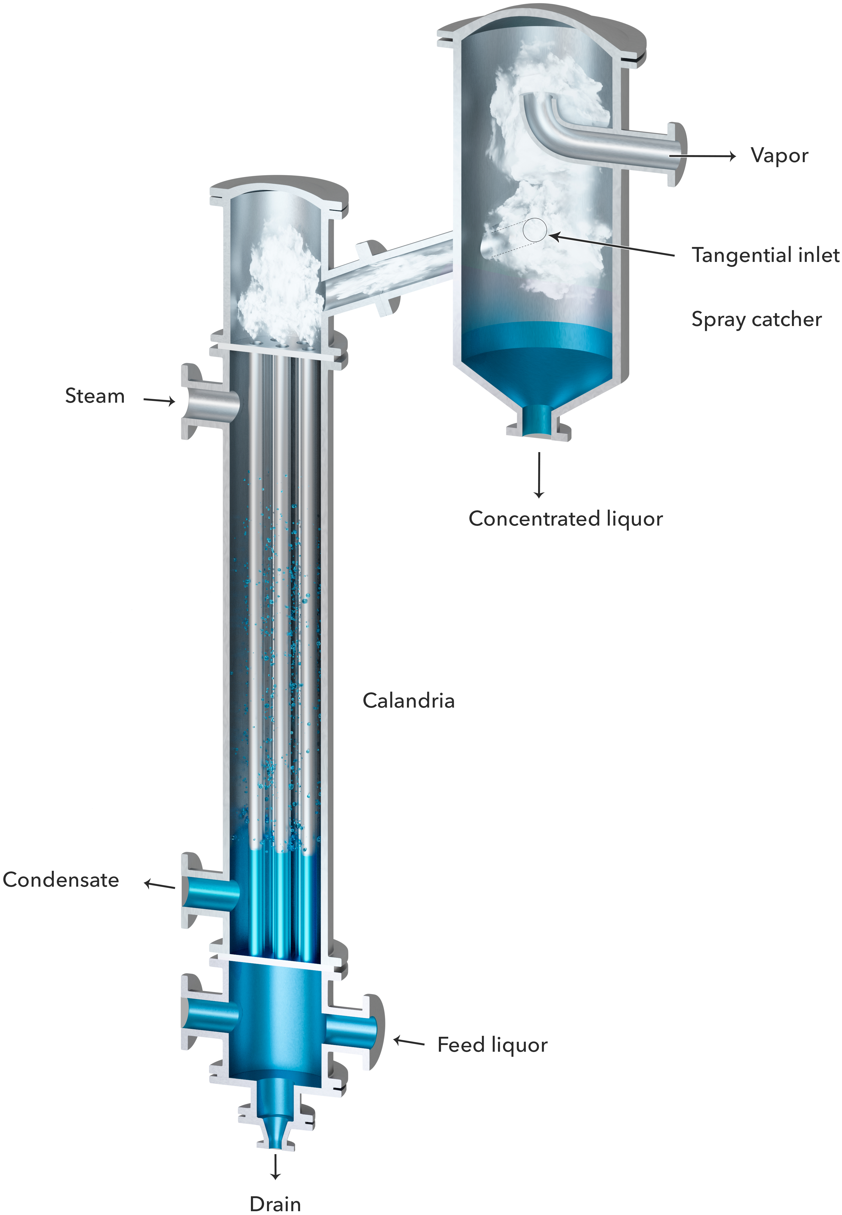 Climbing film evaporator