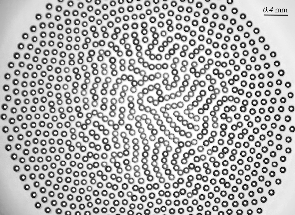 Typical chain cluster (Reprinted from Frenkel et al. with permission from the American Physical Society, Copyright 2022)