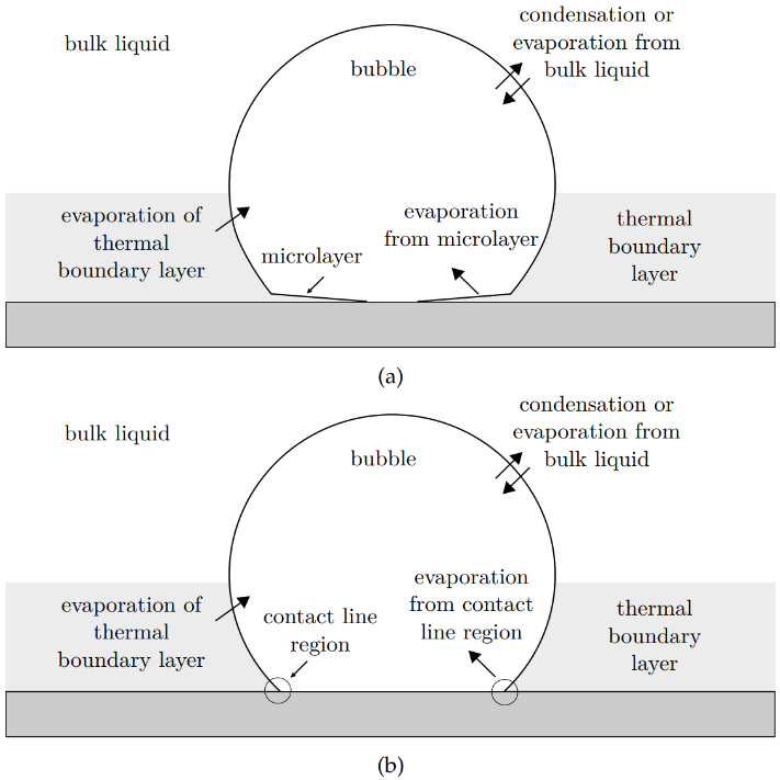 Heat transfer processes involved in the growth of a bubble in pool boiling including evaporation of the (a) microlayer and (b) contact line region (Iyer, 2023)