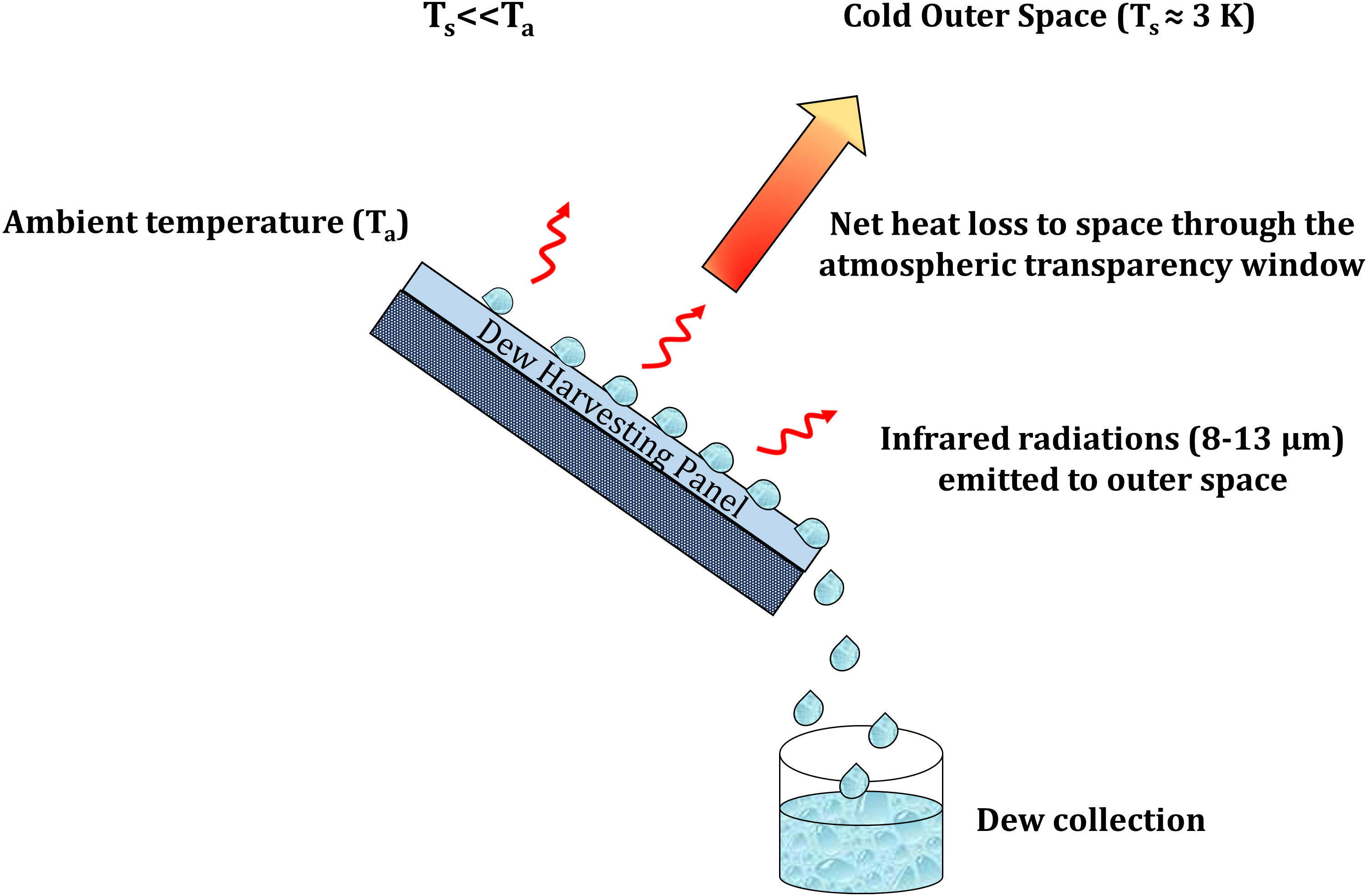 Schematic illustration of dew water harvesting