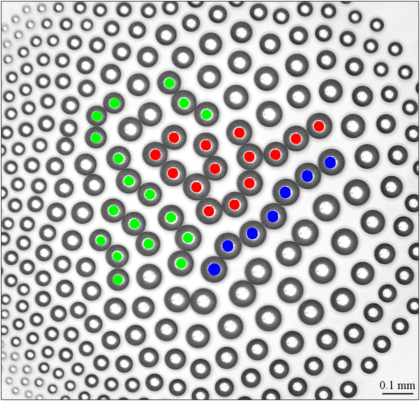 Part of an asymmetric cluster containing growing branched chains of water droplets