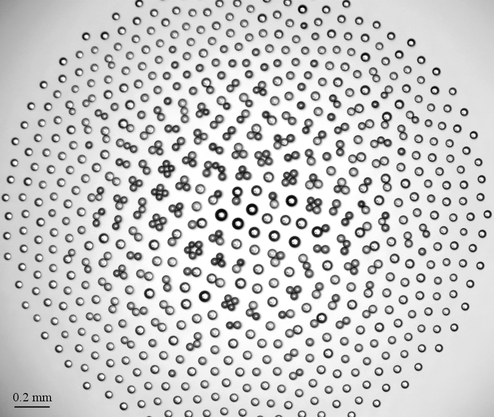 A fragment of the axisymmetric hierarchical cluster of water droplets (Reprinted from Fedorets et al. with permission from the Springer Nature, Copyright 2022)
